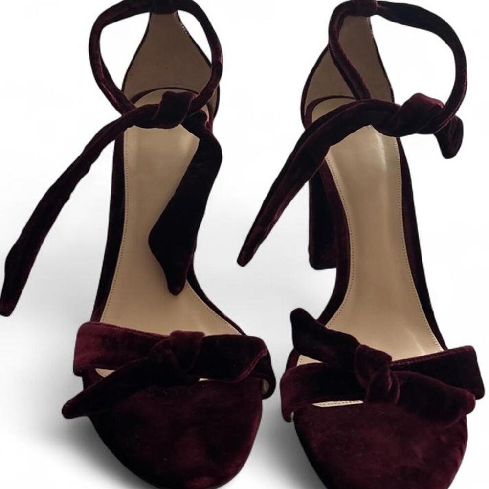 Alexandra birman burgundy velvet heels